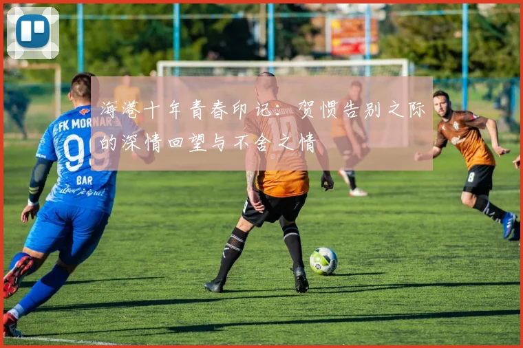 海港十年青春印记：贺惯告别之际的深情回望与不舍之情