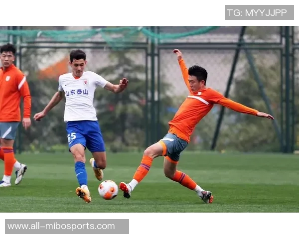 泰山队外援中后卫即将到位冬训期间广州集结备战新赛季